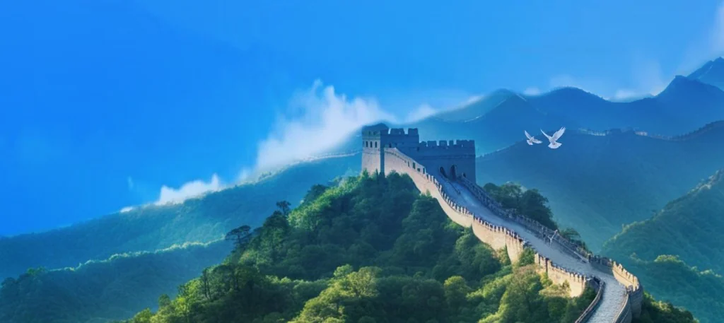 电子税务局与全国统一办税大厅数字化终端实景